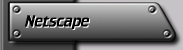 How to Set Up Netscape